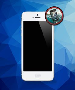 Wasserschaden Reinigung